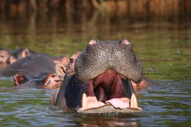 3 Days Hiking Safari To Mountain Elgon Sipi Hiking - Good To Know