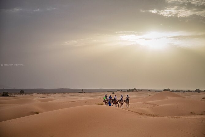 3 Days In Private To The Desert From Fes Finishing In Marrakech - Good To Know