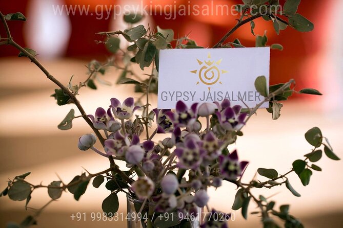 3 Days Jaisalmer Private Tour With Desert Safari, Sightseeing and Accommodation - Good To Know