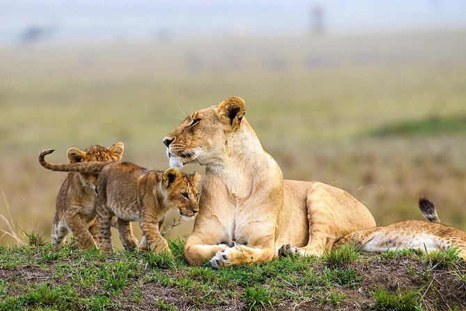 3 Days Maasai Mara Budget Safari