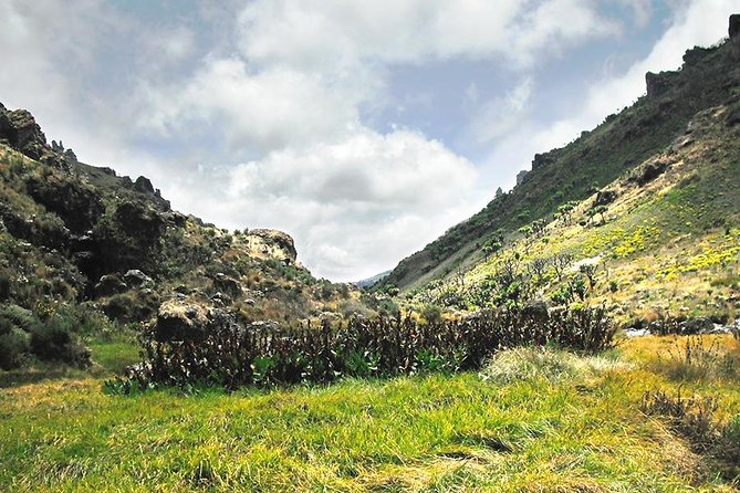 3 Days Mt. Elgon Hiking and Sipi Falls - Good To Know