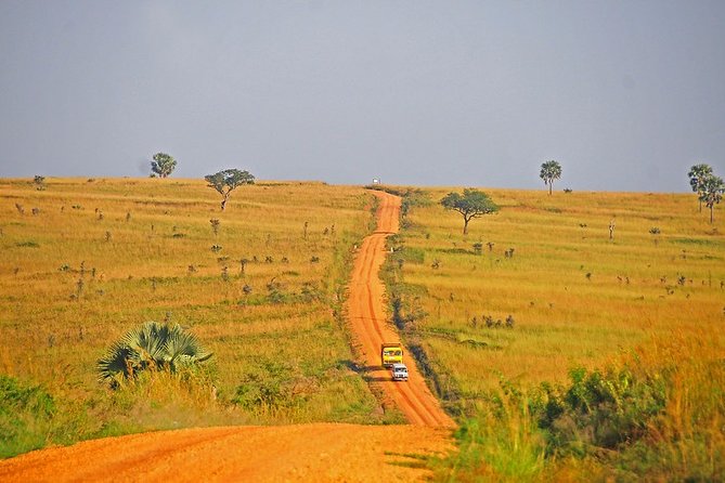 3 Days Murchison Falls Safari (The Greatest Waterfall) - Good To Know