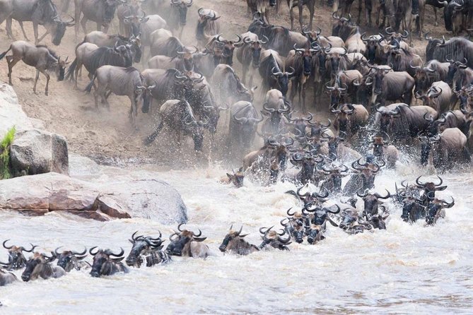 3 Days Ngorongoro-Lake Manyara - Good To Know