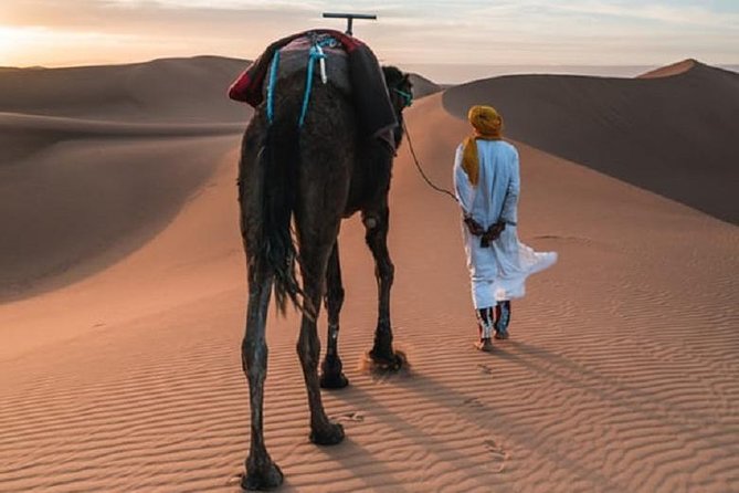 3 Days Nomad Desert Tour - Marrakech > Zagora > Marrakech - Good To Know