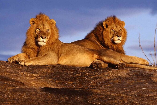 3 Days of Private Safari Tour in Tsavo National Park West - Good To Know