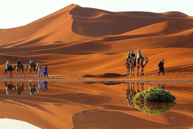 3 Days Private Desert Tour Fez to Marrakech - Good To Know