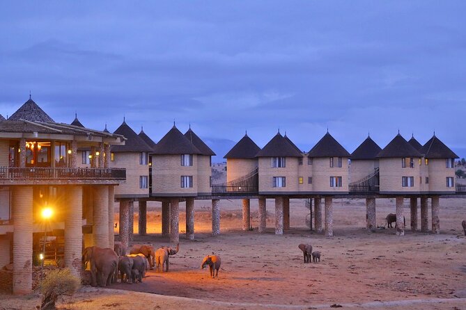 3 Days Safari Tour to Tsavos Most Photographed Lodge - Good To Know