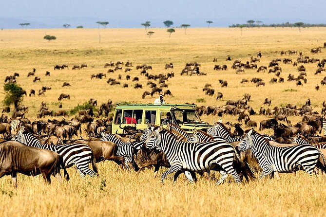 3 Days Safari - Good To Know