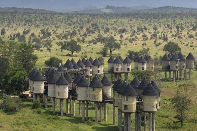 3 DAYS SALTLICK and NGUTUNI SAFARI (Minimum 2 Pax) - Good To Know