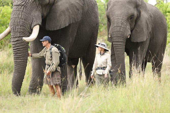3 Days Samburu Big Five - Good To Know