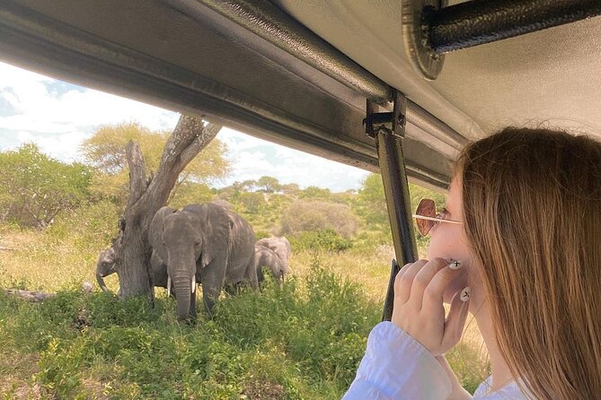 3 Days-Serengeti National Park Iconic Safari - Good To Know