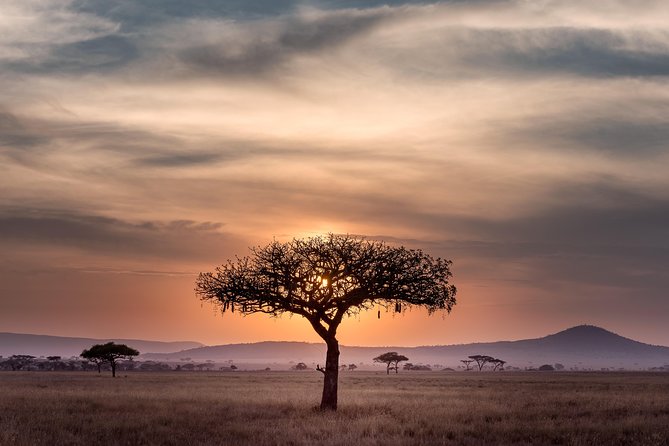 3-Days Tanzania Safari From Arusha - Good To Know