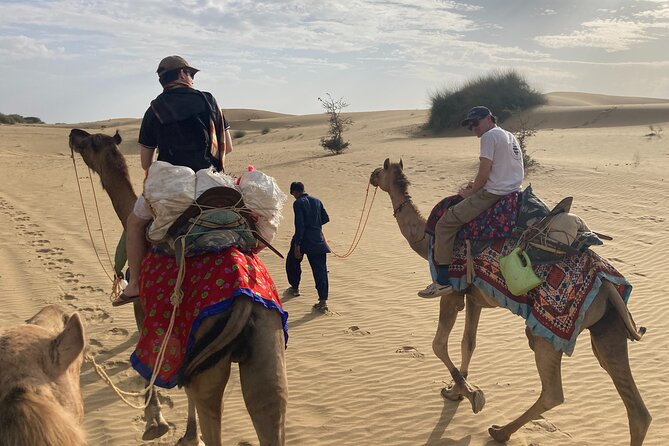 3 Days Tour in Wild Desert Safari - Good To Know