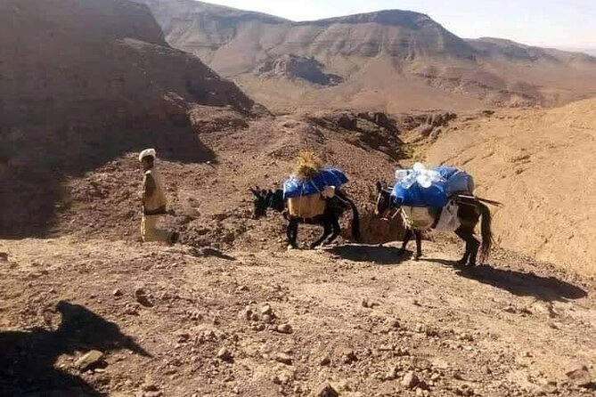 3 Days Trekking in the Berber Village - Good To Know