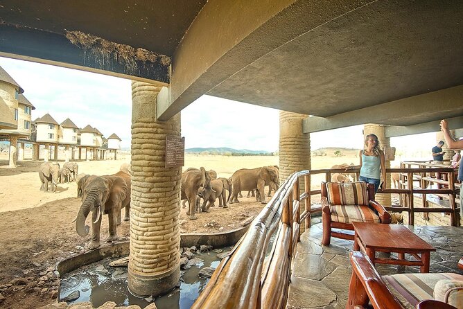 3 Days Tsavo East National Park and Taita Hills Sanctuary on Jeep - Good To Know