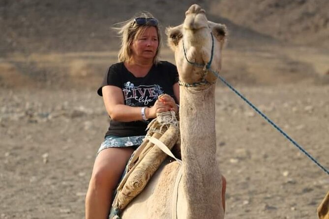 3-Hour ATV Quad Safari and Camel Ride - Hurghada - Good To Know