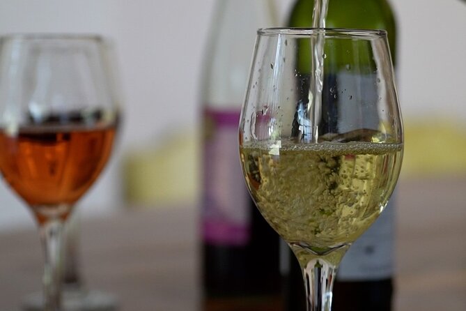 3-Hour Chateau Defay Vineyard Tour in Central America - Tour Highlights
