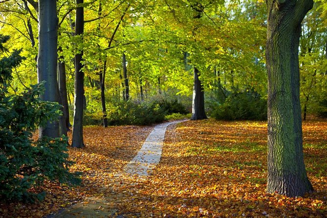 3-Hour Private Bike Tour of Tiergarten and Berlins Hidden Places - Good To Know