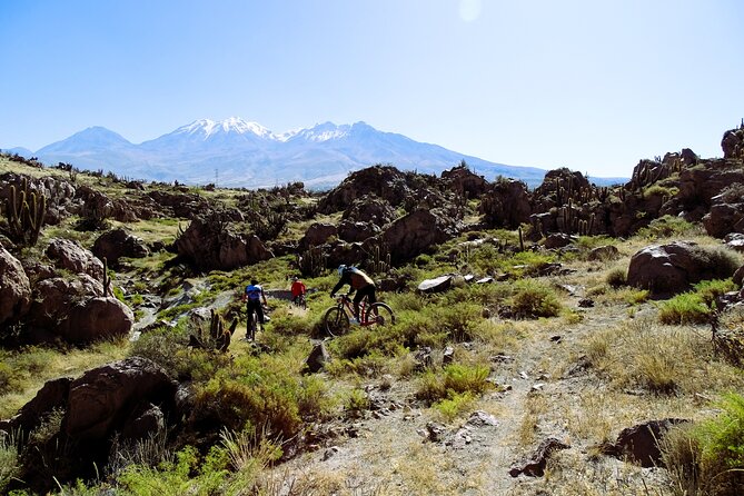 3-Hour Tour by Mountain Bike in Arequipa - Good To Know