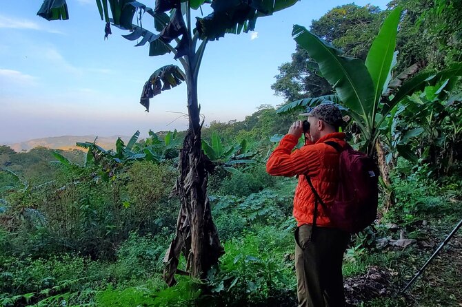 3 Hours Bird Watching Guided Experience in Bajo Cebadilla - Good To Know