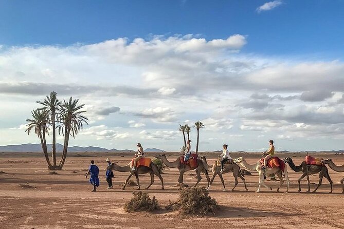 3 Hours Camel Ride and Quad Bike in Palmeraie - Good To Know