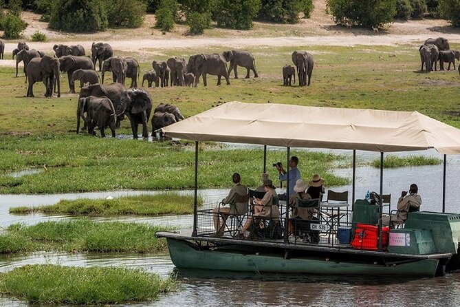 3 Hours Chobe Boat Cruise, Botswana - Good To Know