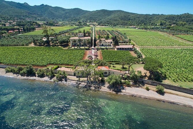 3 Hours E-Bike Tour With Wine Tour at Tenuta La Chiusa - Good To Know