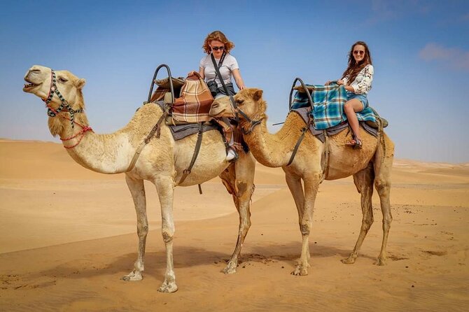 30 Minutes Camel Ride and 30 Quad Bike in Dubai - Good To Know
