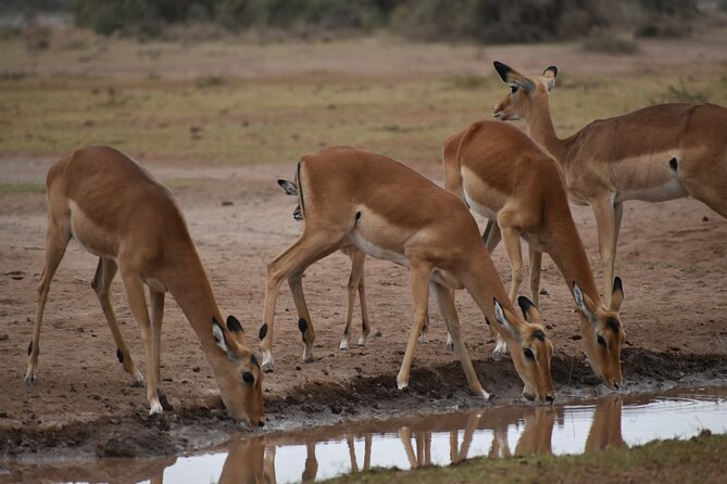 07 Days Kenya Budget Camping Safari - Inclusions & Travel Details