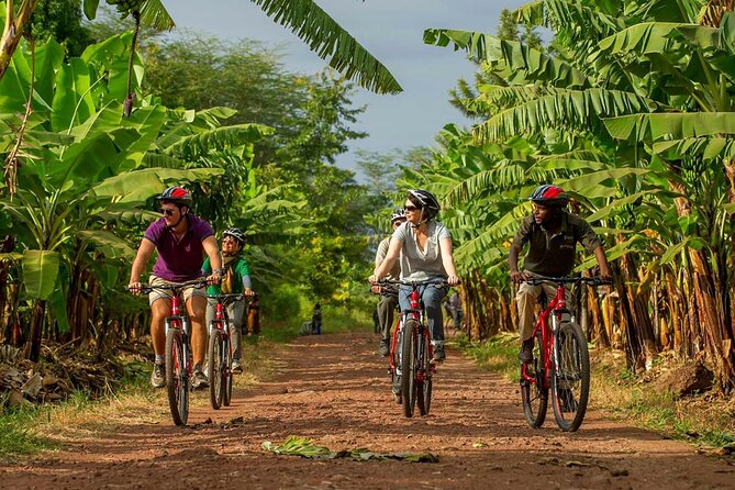 1 Day: Cycling Tour to Arusha National Park - Cancellation and Weather Policy