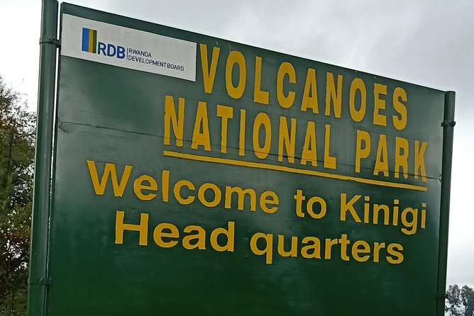 1-Day Gorilla Tracking at Volcanoes From Kigali - Tour Inclusions