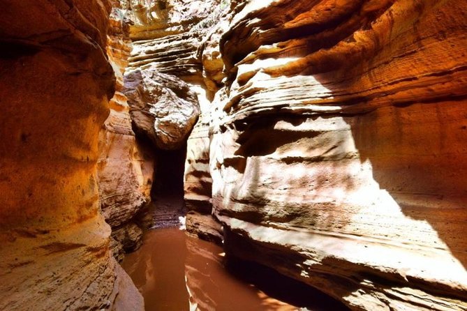 1 Day Hells Gate Bicycle Tour (minimum 2 Pax) - Pricing Information