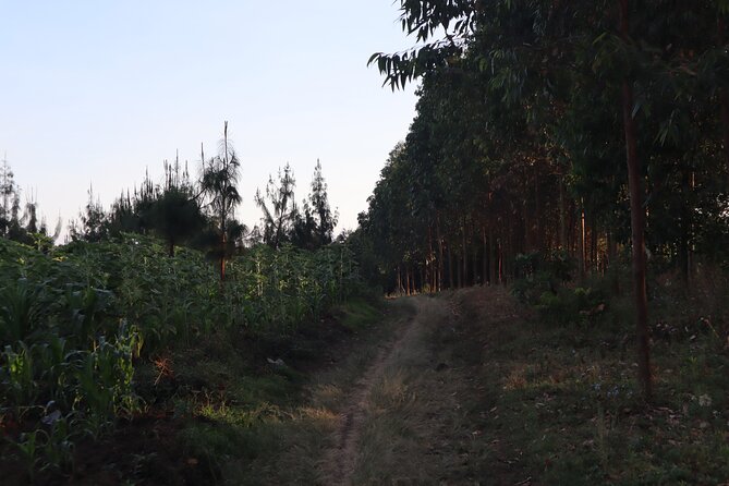 1 Day Hike Arusha