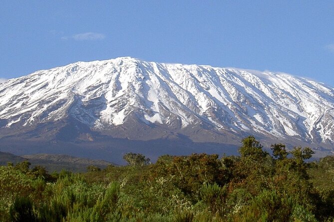 1-Day Hike - Mount Kilimanjaro - Pickup Information