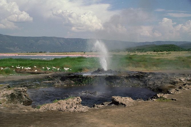 1-Day Lake Manyara Tour From Arusha - Frequently Asked Questions