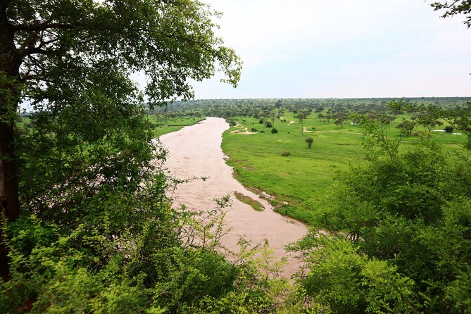 1 Day Tarangire National Park - What to Expect