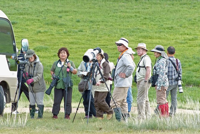 1 Day Tour: Khustai National Park: Przewalskis Wild Horses - The Sum Up