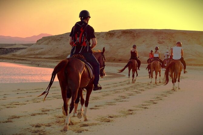 1-Hour Horse Ride Adventure in Sharm El-Sheikh - Adventure Location