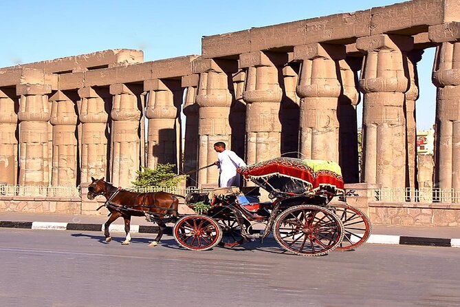 1 Hour Private Horse Ride Tour at Luxor City - Additional Booking Information