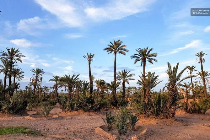 1 Hour Riding Camel in Palmeraie Marrakech, Ride Camel in Palmeraie Marrakech - Pickup Information