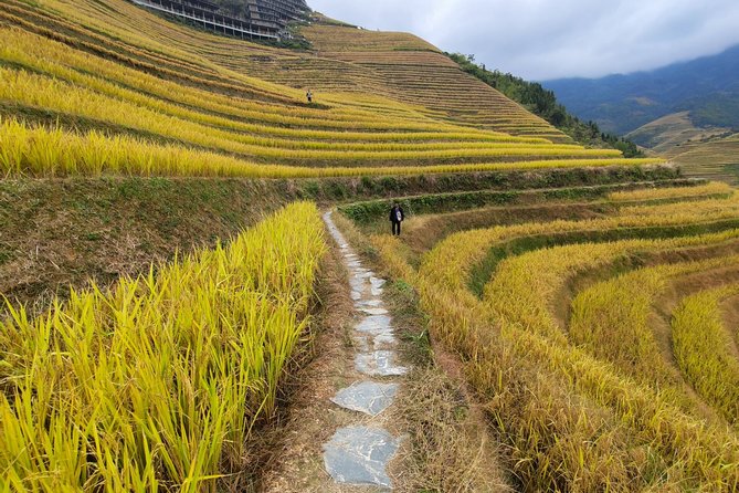 10-Day Private Tour From Nanning to Guilin and Guangzhou - Frequently Asked Questions