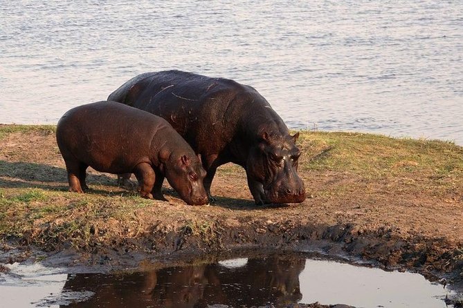 10 Days / 9 Nights Private Group Safari - Packing Essentials