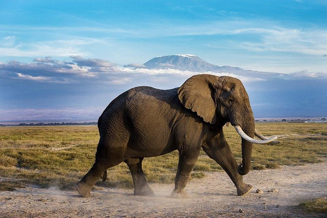 10 Days Africa Cycling Safari Holidays