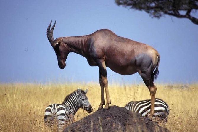 10 Days Africa Photographic Safaris Package - Important Reminders