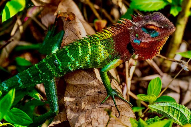 10 Days All Inclusive Tour Exploring Natural Beauty of Sri Lanka - Booking Information