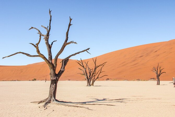 10 Days Beauty of Namibia | Camping - Included Amenities