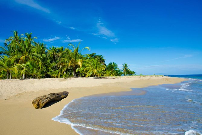 10 Days Caribbean to Pacific - Self Drive From San Jose - Day 6: Discovering Monteverde
