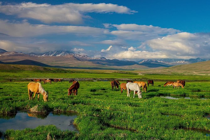 10 Days Tour to Skardu, Deosai, Rama Meadows
