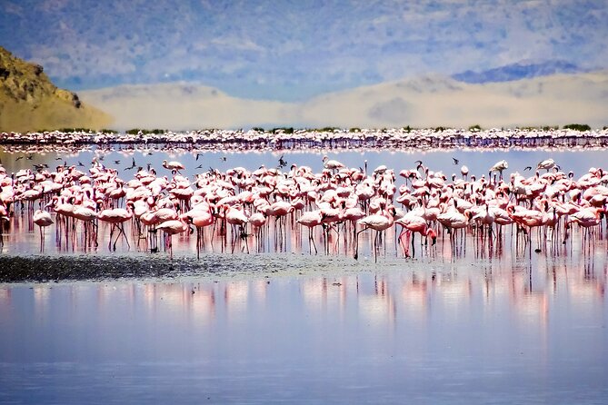 11-Day Private Lake Hopping Tour in Safari - Optional Activities