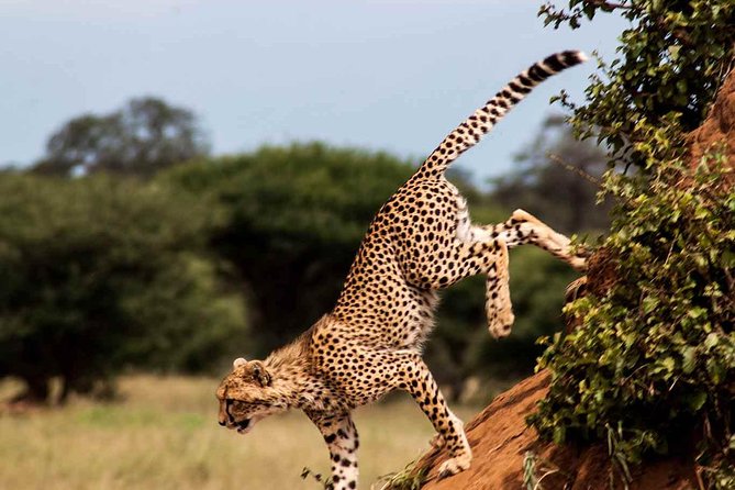11 Days / 10 Night Private Group Safari - Culinary Experiences